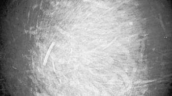 Weather camera view of St Johns Lutheran School.