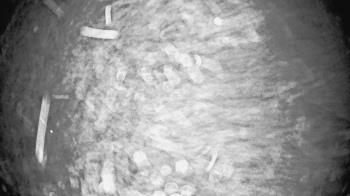 Weather camera view of St Johns Lutheran School.