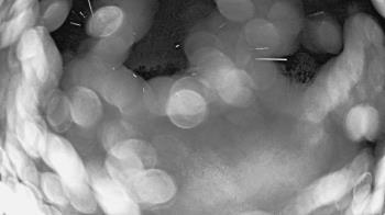 Weather camera view of St Johns Lutheran School.