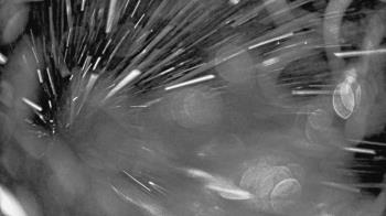 Weather camera view of St Johns Lutheran School.