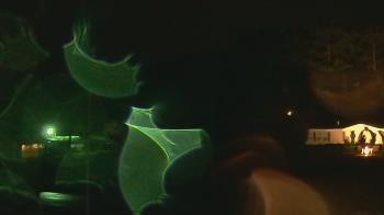 Weather camera view of Overshot NC.