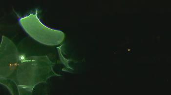 Weather camera view of Overshot NC.