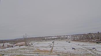 Weather camera view of Orchard Hill.