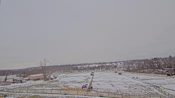Weather camera view of Orchard Hill.