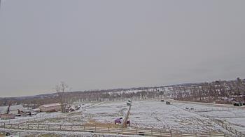 Weather camera view of Orchard Hill.