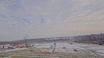 Weather camera view of Orchard Hill.