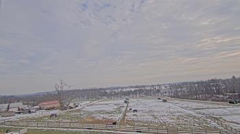 Weather camera view of Orchard Hill.