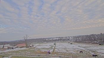 Weather camera view of Orchard Hill.