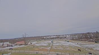 Weather camera view of Orchard Hill.