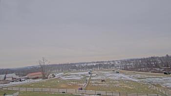 Weather camera view of Orchard Hill.