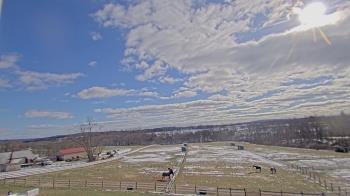 Weather camera view of Orchard Hill.