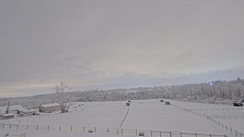 Weather camera view of Orchard Hill.