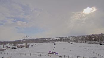 Weather camera view of Orchard Hill.