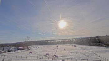 Weather camera view of Orchard Hill.