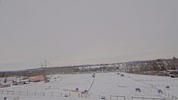 Weather camera view of Orchard Hill.