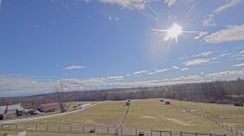 Weather camera view of Orchard Hill.