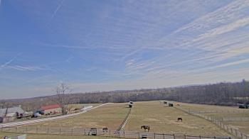 Weather camera view of Orchard Hill.