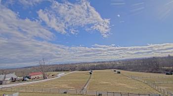 Weather camera view of Orchard Hill.