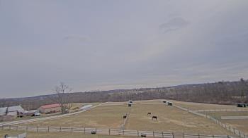 Weather camera view of Orchard Hill.