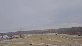 Weather camera view of Orchard Hill.