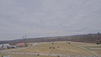 Weather camera view of Orchard Hill.