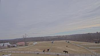 Weather camera view of Orchard Hill.