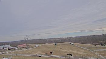 Weather camera view of Orchard Hill.