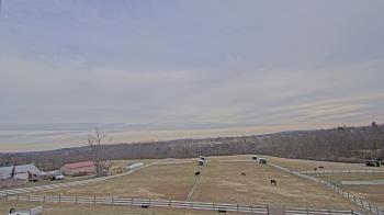 Weather camera view of Orchard Hill.