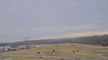 Weather camera view of Orchard Hill.