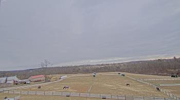 Weather camera view of Orchard Hill.