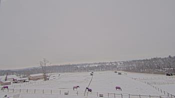 Weather camera view of Orchard Hill.
