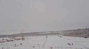 Weather camera view of Orchard Hill.