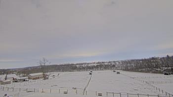 Weather camera view of Orchard Hill.