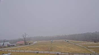 Weather camera view of Orchard Hill.