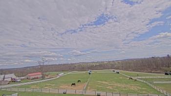 Weather camera view of Orchard Hill.