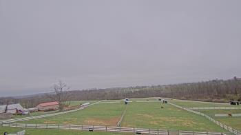 Weather camera view of Orchard Hill.