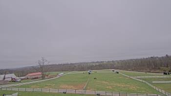 Weather camera view of Orchard Hill.