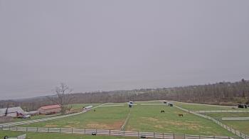 Weather camera view of Orchard Hill.