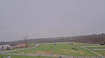 Weather camera view of Orchard Hill.