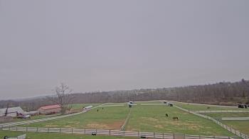 Weather camera view of Orchard Hill.