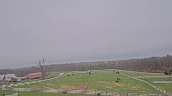 Weather camera view of Orchard Hill.