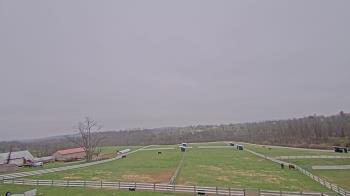 Weather camera view of Orchard Hill.