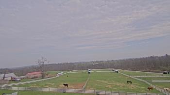 Weather camera view of Orchard Hill.