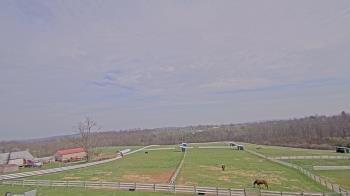 Weather camera view of Orchard Hill.