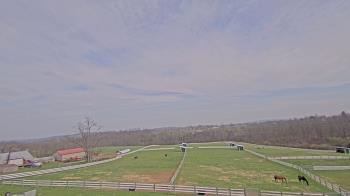 Weather camera view of Orchard Hill.