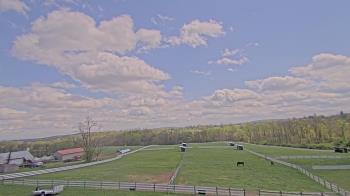 Weather camera view of Orchard Hill.