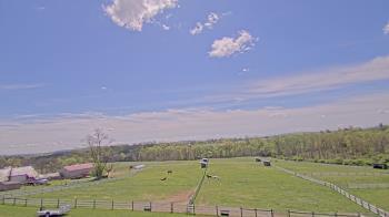 Weather camera view of Orchard Hill.