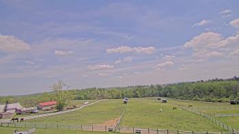 Weather camera view of Orchard Hill.