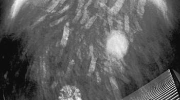 Weather camera view of Callawassie Island Club.