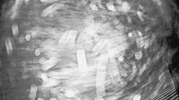 Weather camera view of Callawassie Island Club.